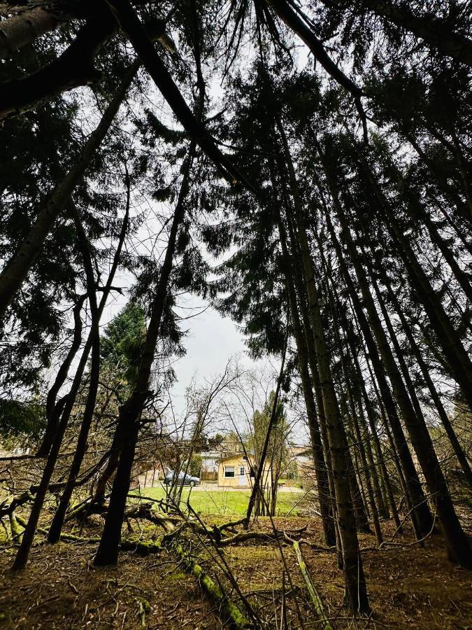 Ferienhaus Biber Godendorf  외부 사진